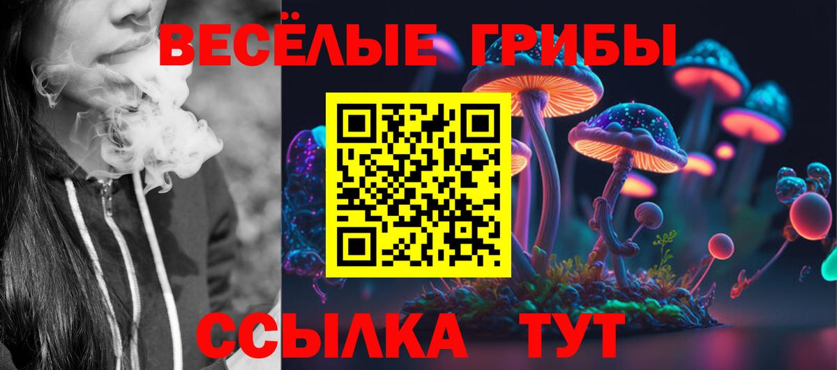 Арзамас  Галлюциногенные грибы ЛСД  Вход с VPN 